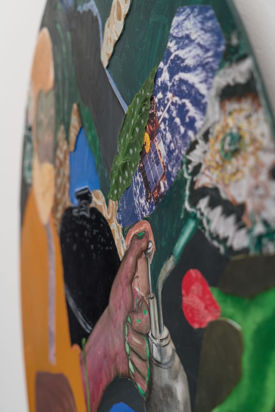 David Shrobe, Repot, 2023