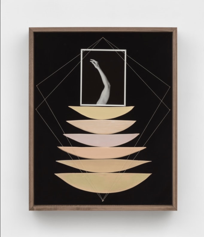 Sheree Hovsepian, Corporeal Nature, 2022