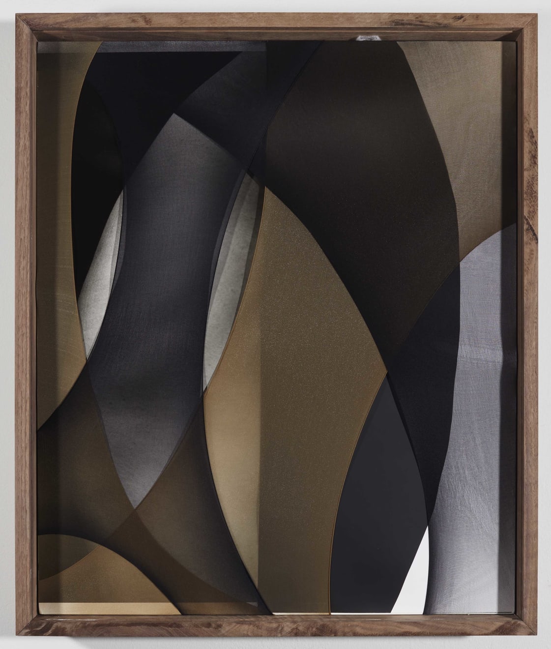 Sheree Hovsepian, Girdle, 2021