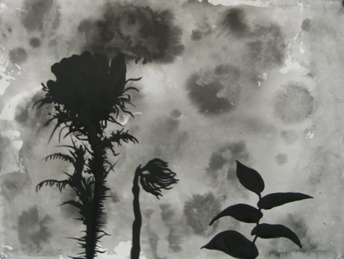 Jason Middlebrook, New Disturbed Site #3, 2010