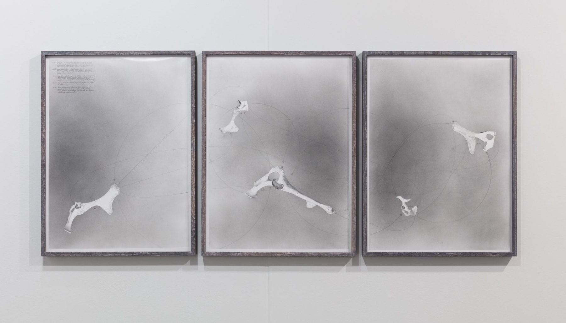 Nate Young, fugue, 2019