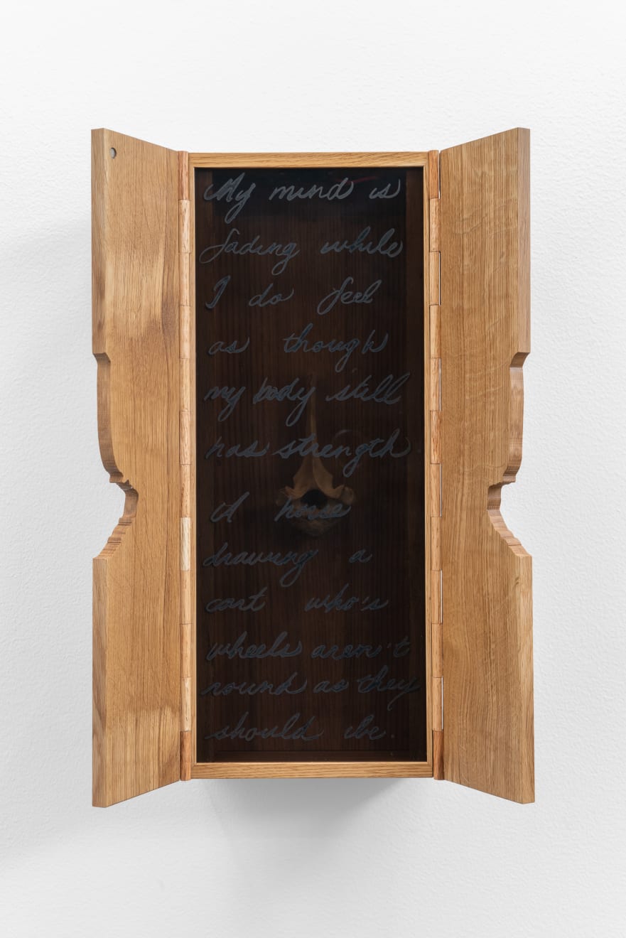 Nate Young, A Horse, 2020