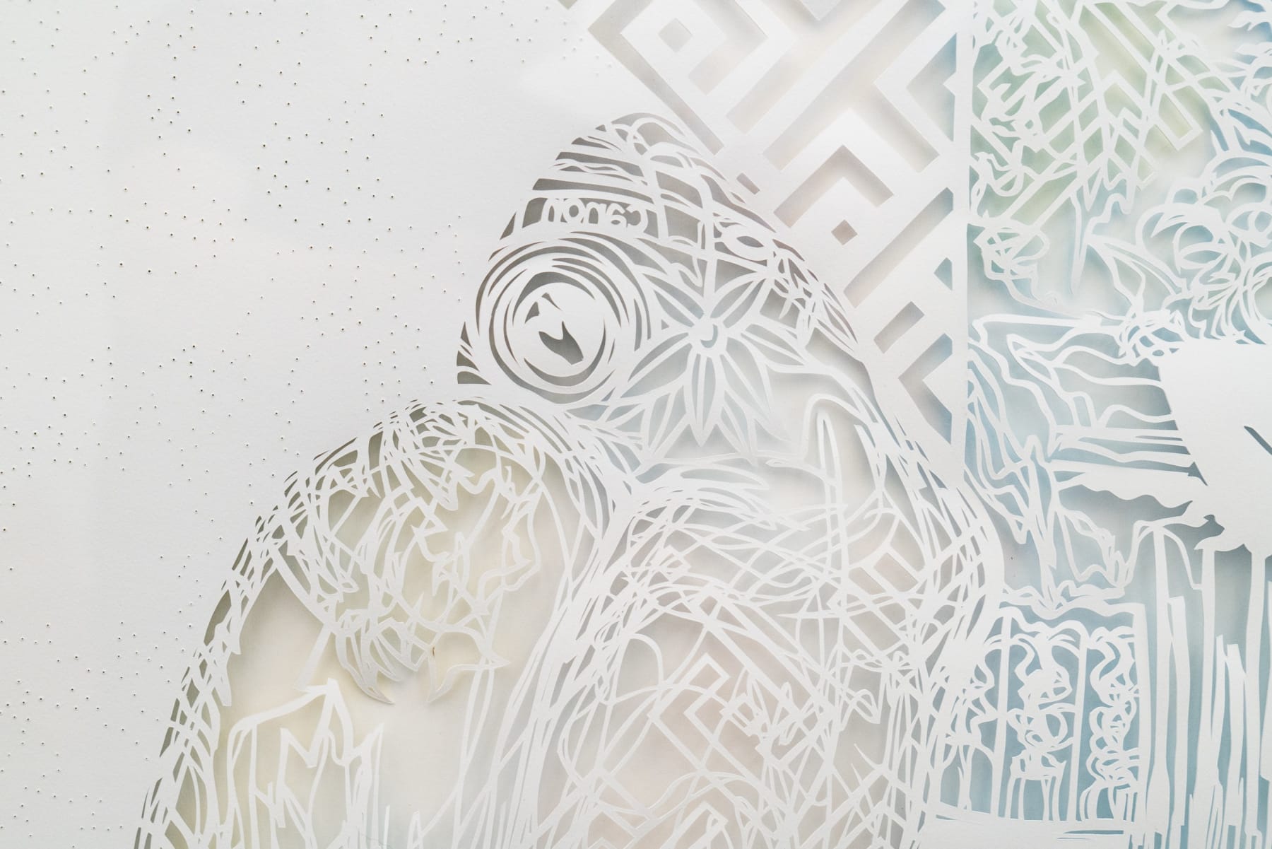 Antonius-Tín Bui, Flinging himself in an impossible direction, a future outside the photograph, 2021