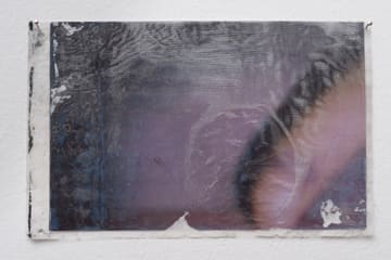 Kate Levant, Inhuman Indifference, 2013