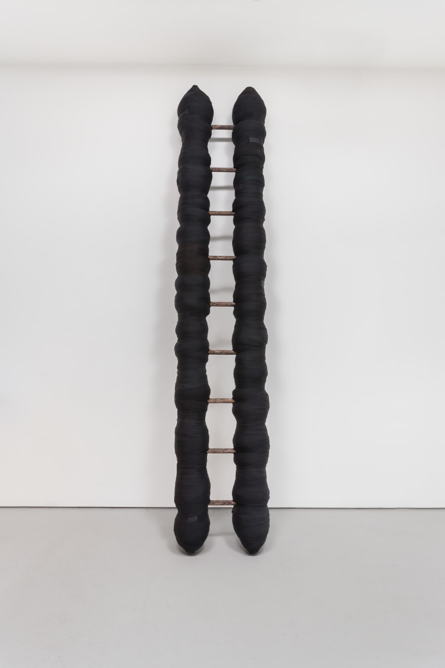 Cheryl Pope, STANDING STRONG (TITLE OF A POEM BY ED ROBERSON, 2013), 2016