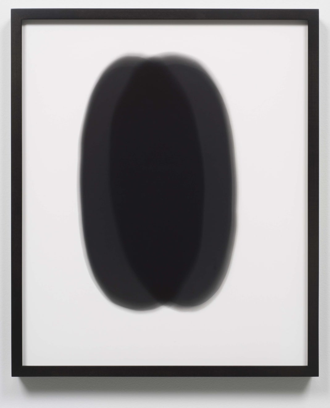 Sheree Hovsepian, Untitled #76, from the Haptic Wonders series, 2012