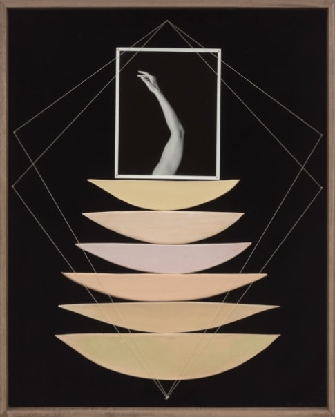 Sheree Hovsepian, Corporeal Nature, 2022