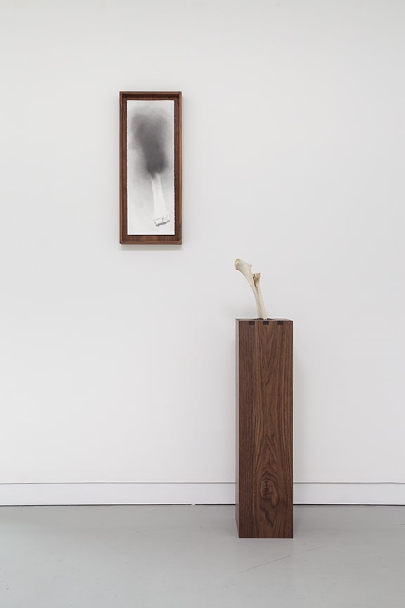 Nate Young, Untitled, 2017