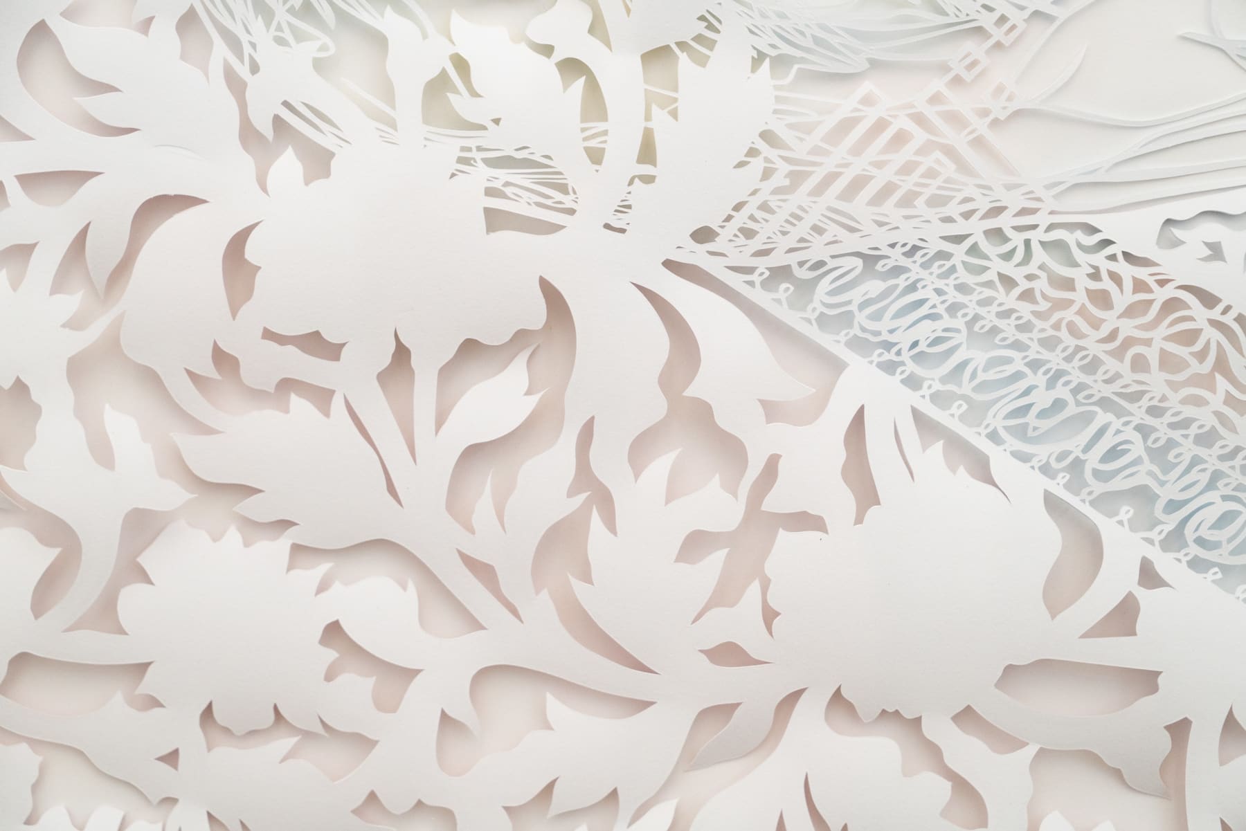 Antonius-Tín Bui, Flinging himself in an impossible direction, a future outside the photograph, 2021