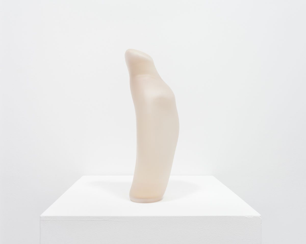 Brendan Fernandes, No Body I, 2016