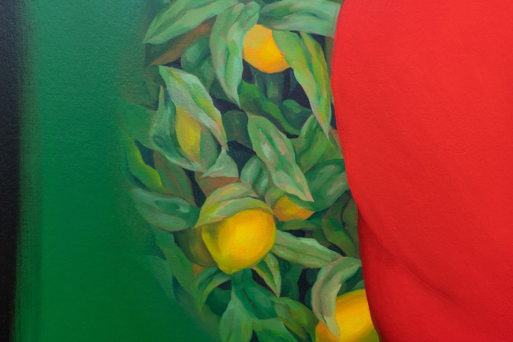 Brittney Leeanne Williams, Complementary Prayer, 2021