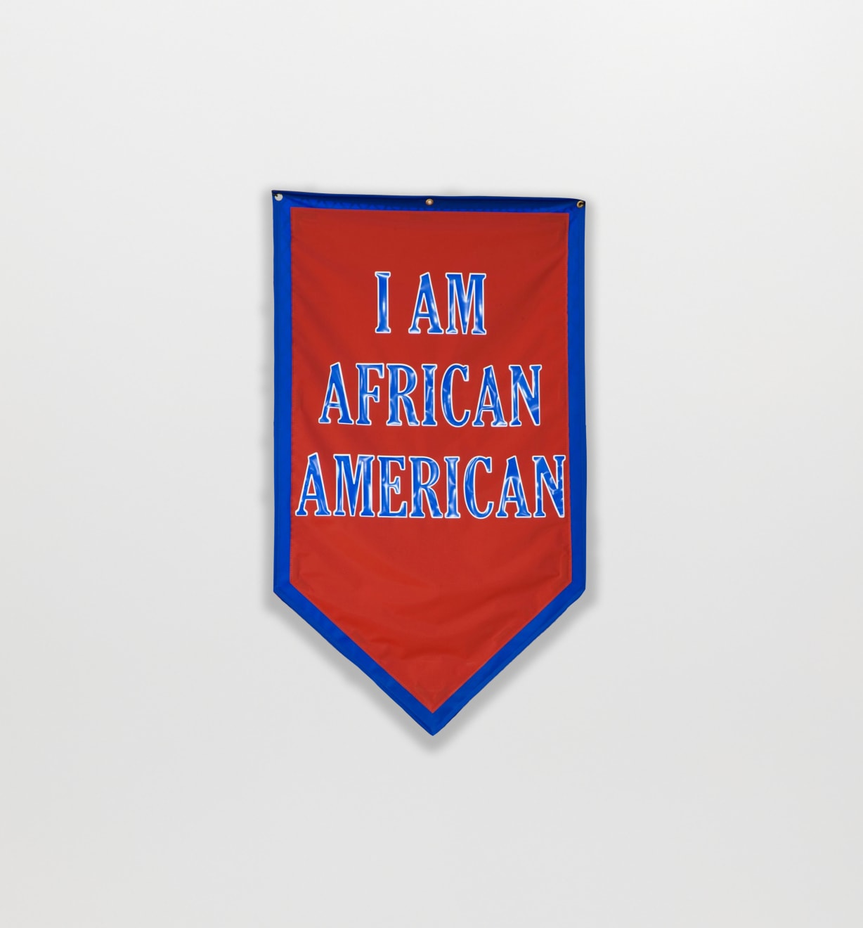 Cheryl Pope, I AM AFRICAN AMERICAN from A SILENT I, 2010
