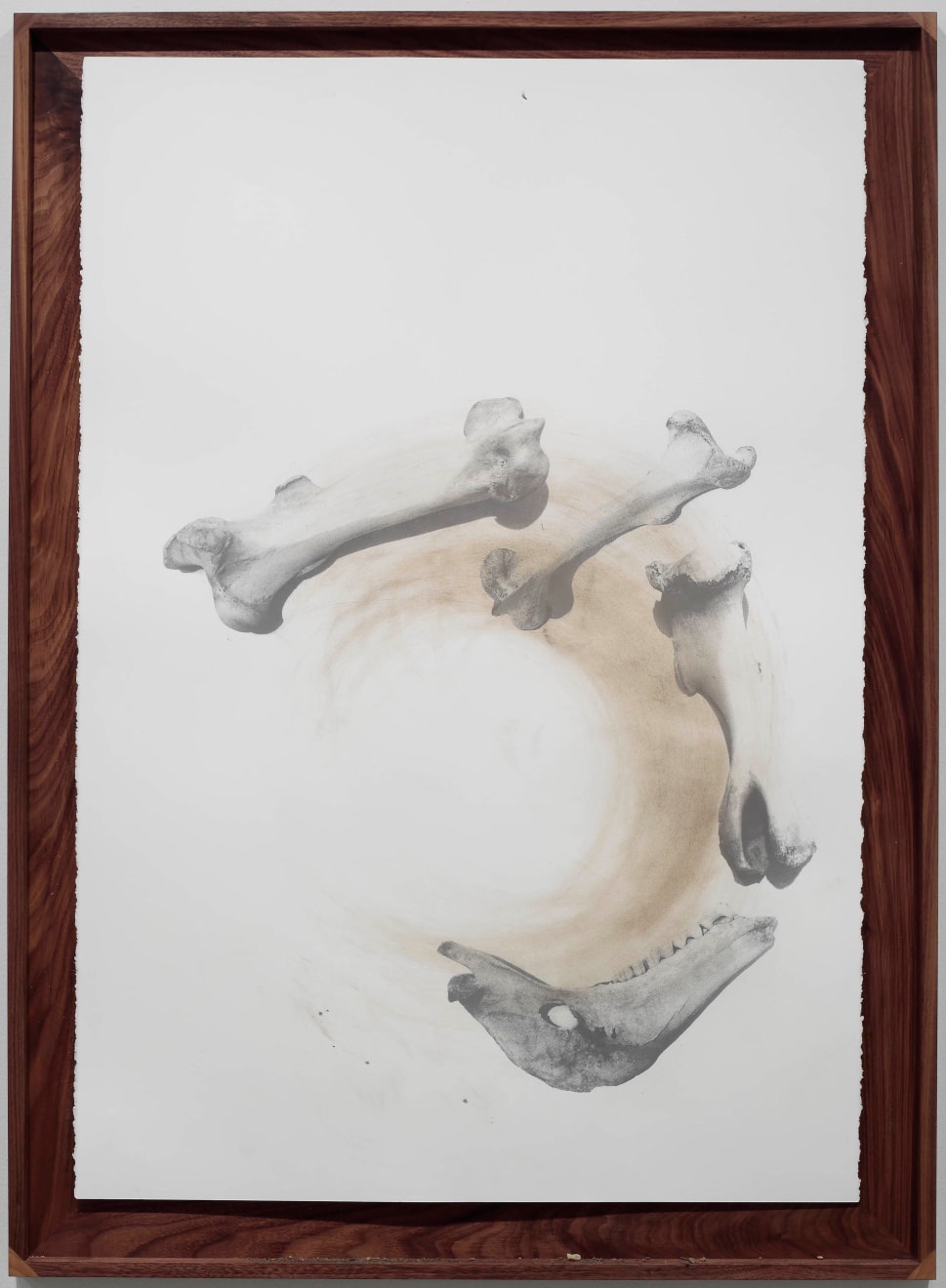 Nate Young, Casting 3, 2017