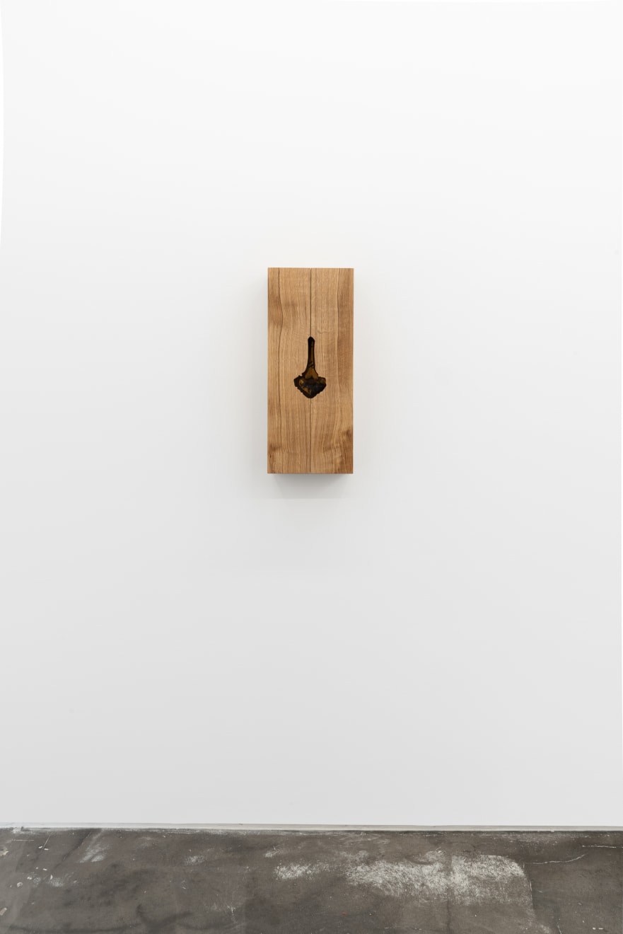 Nate Young, A Horse, 2020