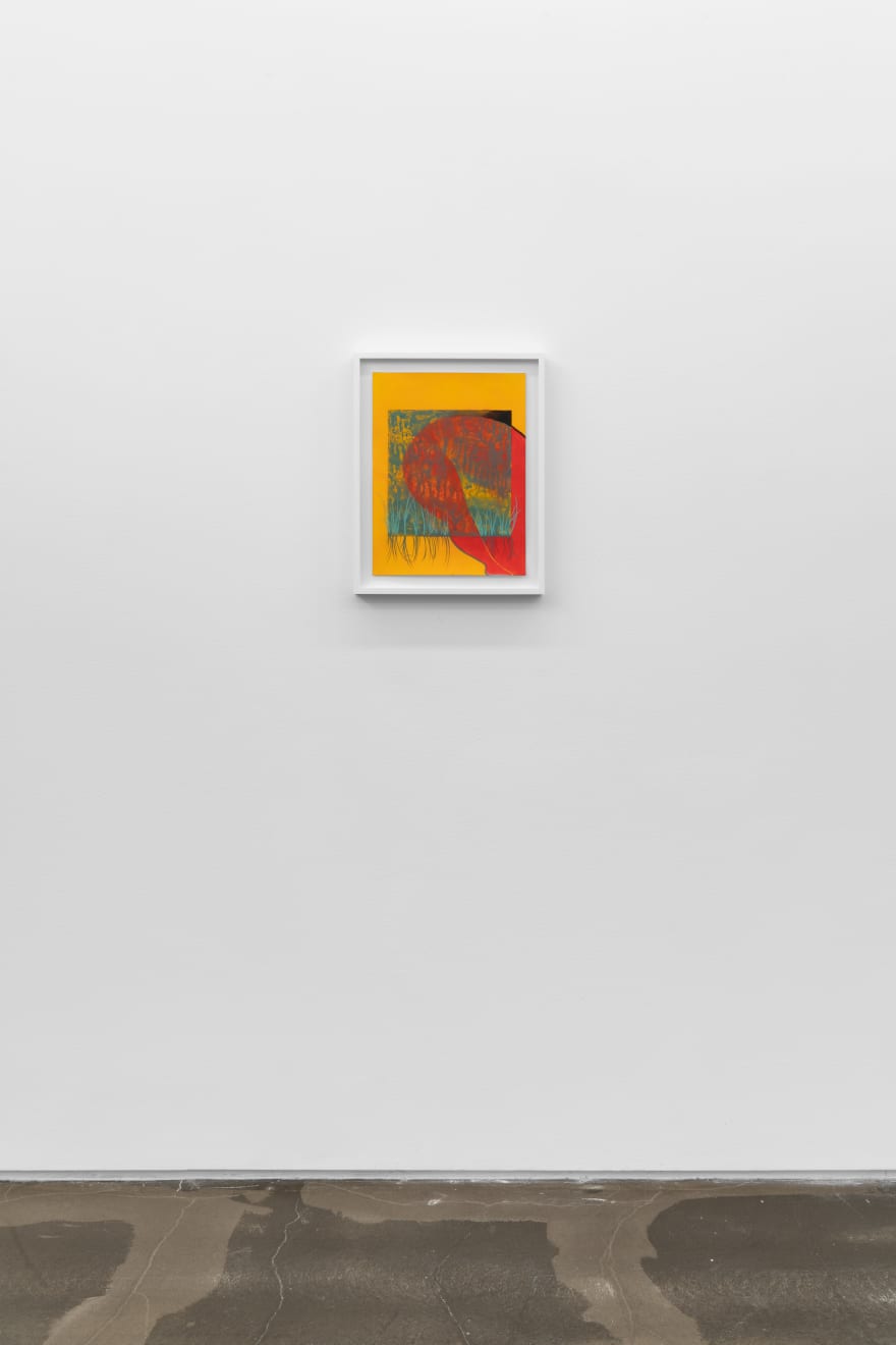 Brittney Leeanne Williams, Untitled (The Grass’ Shadow), 2021