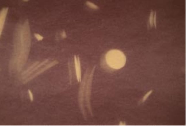 Lilli Carre, one second (in the dark), 2014