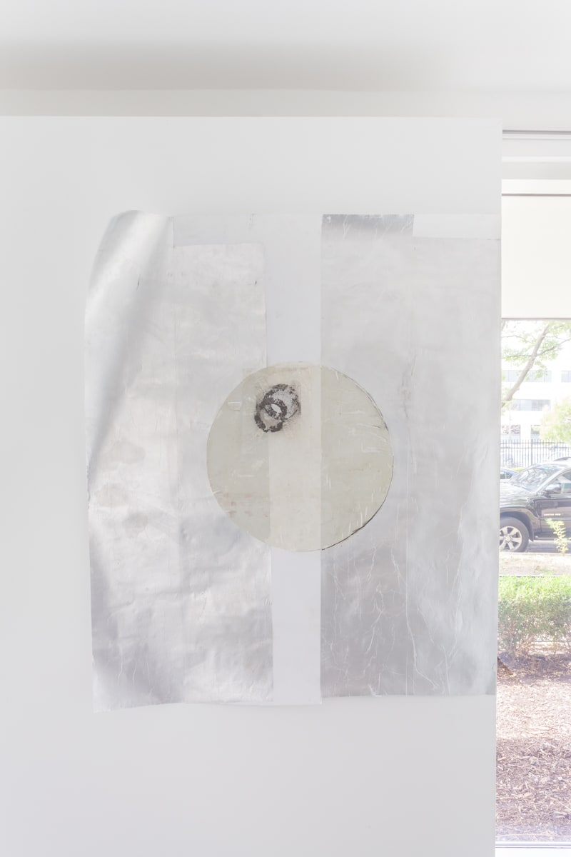 Kate Levant, Nacre’ous 00cellum, 2016