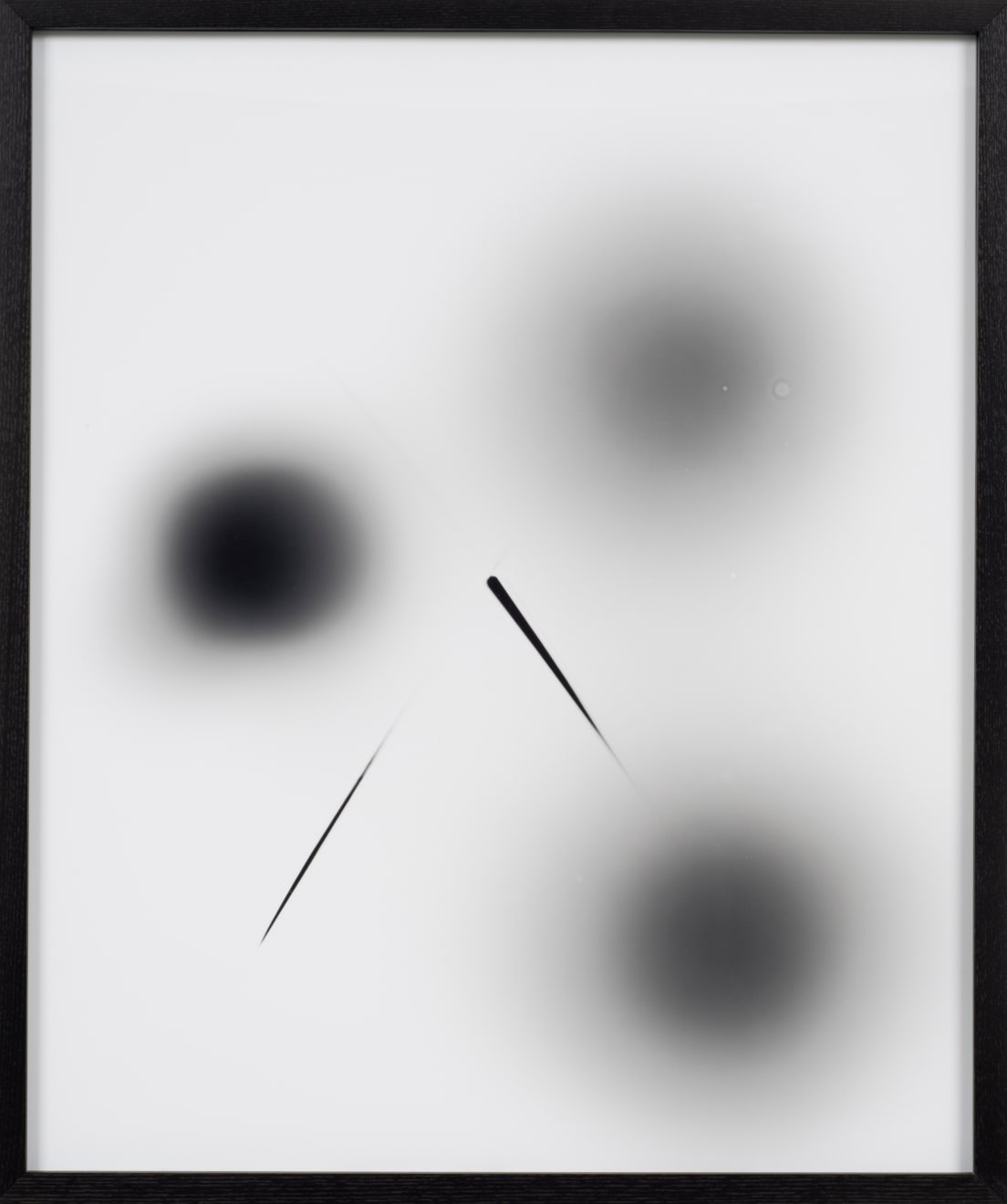 Sheree Hovsepian, Untitled #5 from the "Haptic Wonders" series, 2012