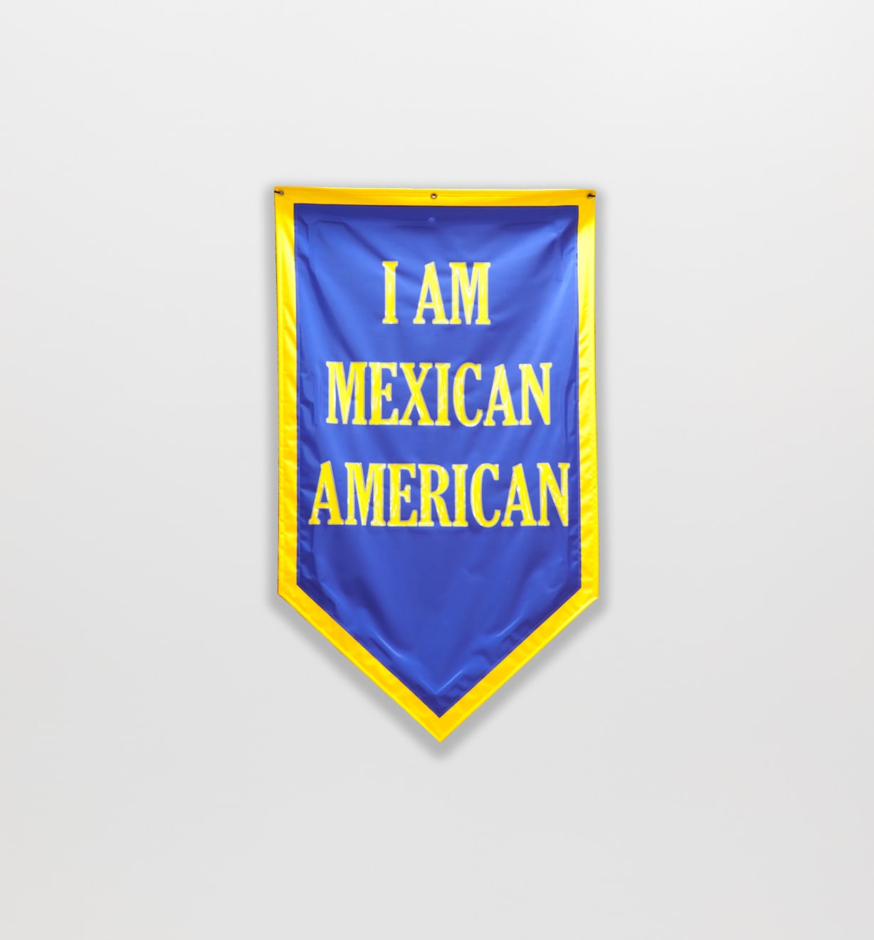 Cheryl Pope, I AM MEXICAN AMERICAN from A SILENT I, 2010