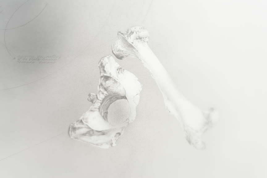 Nate Young, Divining No. 3, 2017