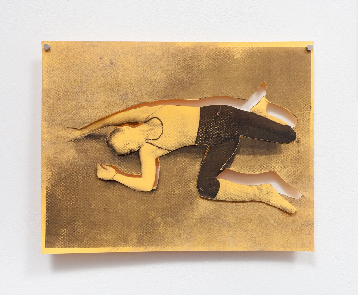 Brendan Fernandes, Free Fall II, 2016