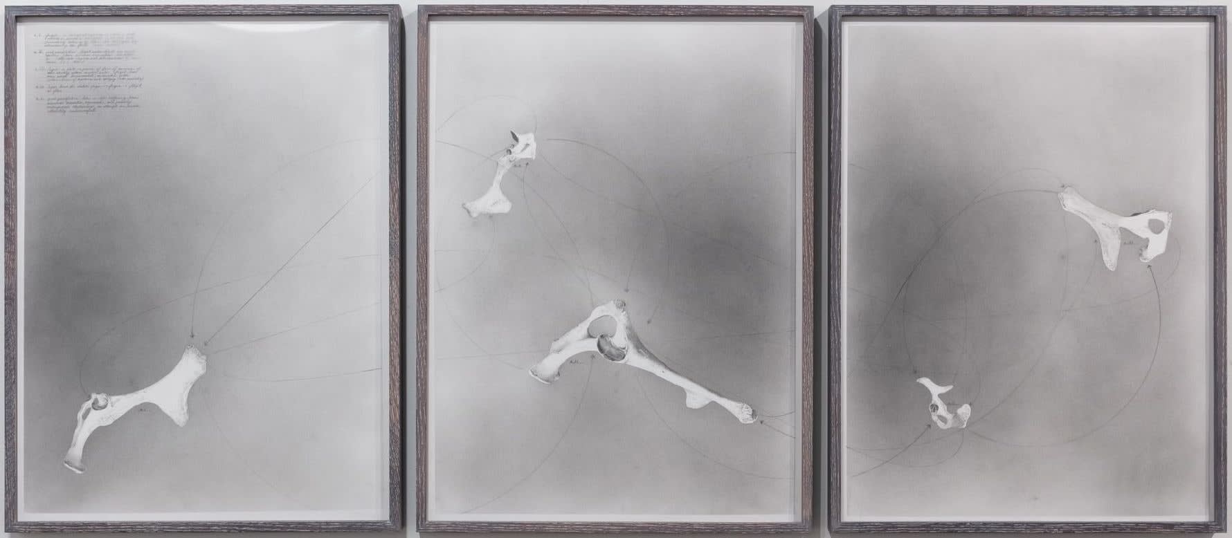 Nate Young, fugue, 2019