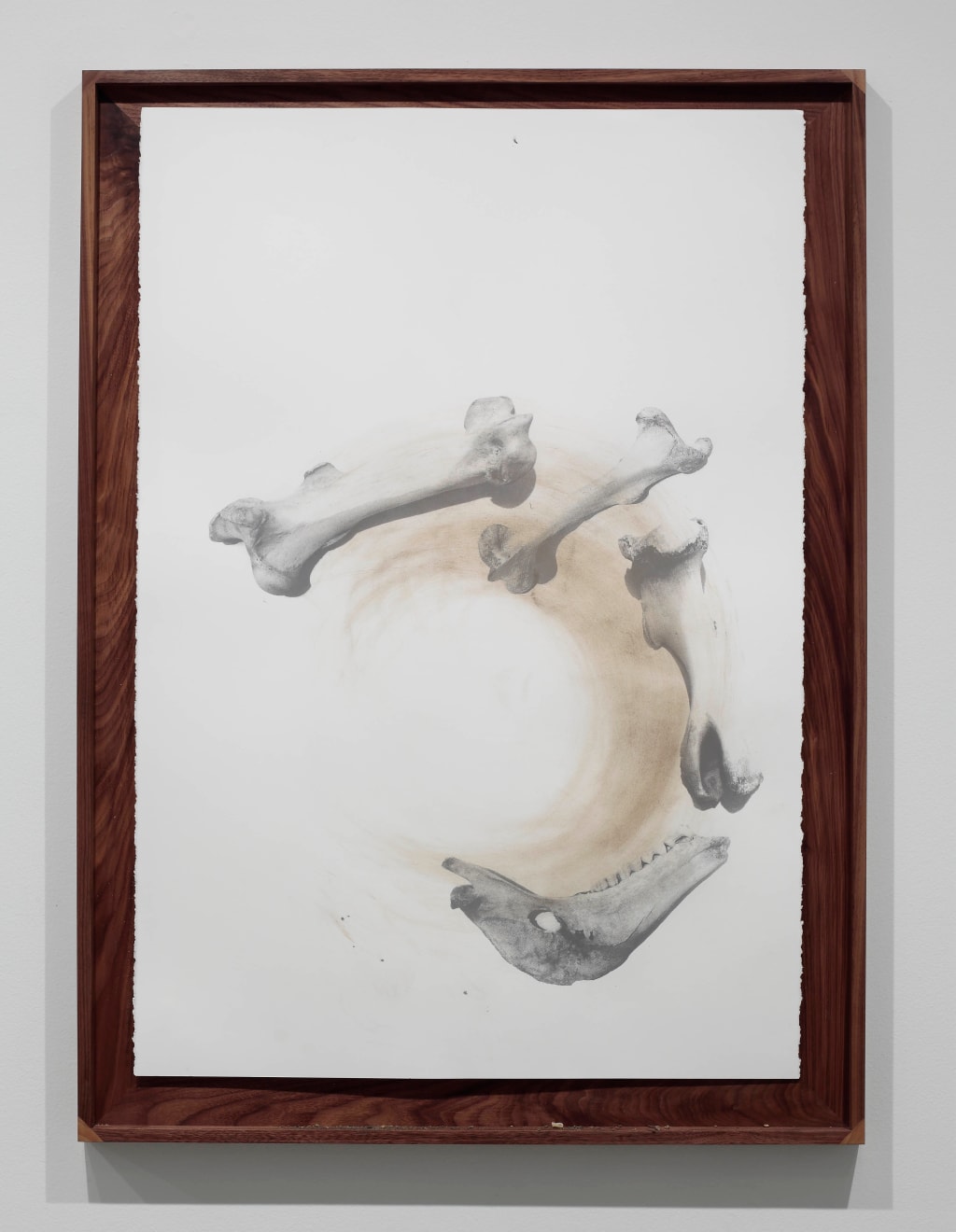 Nate Young, Casting 3, 2017