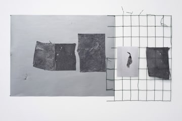 Kate Levant, Skin/Flaps/Graph/Scanning, 2013