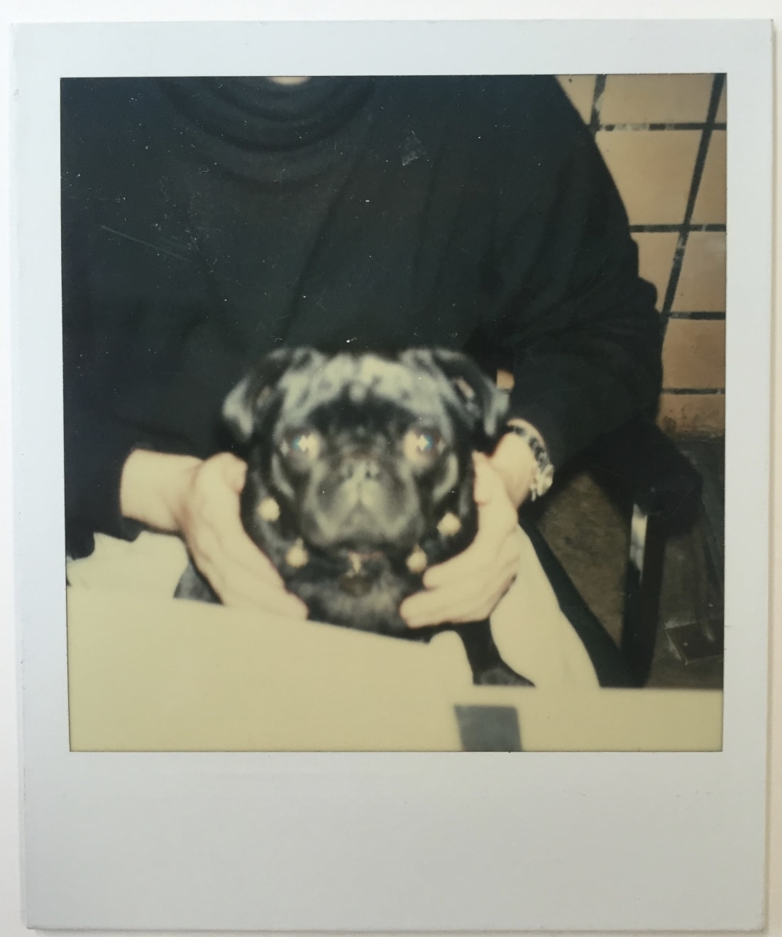 Andy Warhol, "Fame" The Pug, 1985