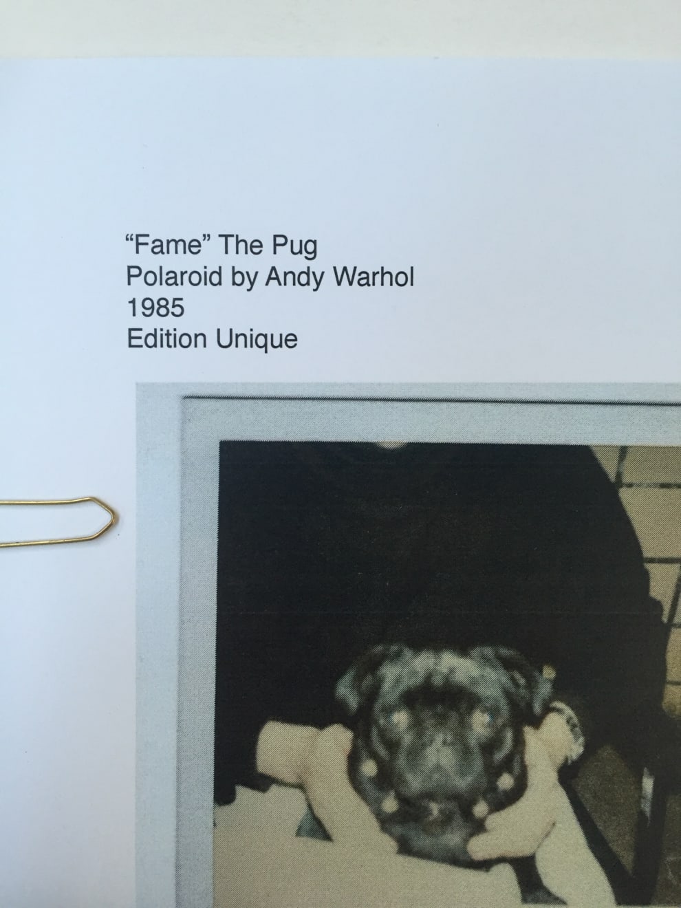 Andy Warhol, "Fame" The Pug, 1985