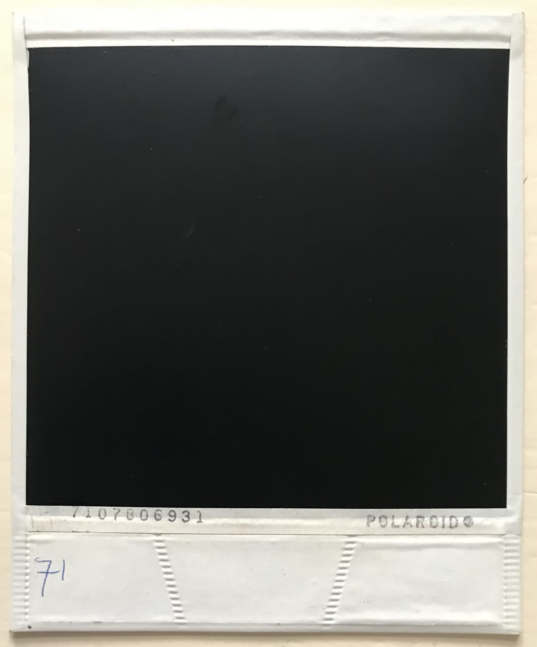 Andy Warhol, Polaroid Portrait of the artist, 1979