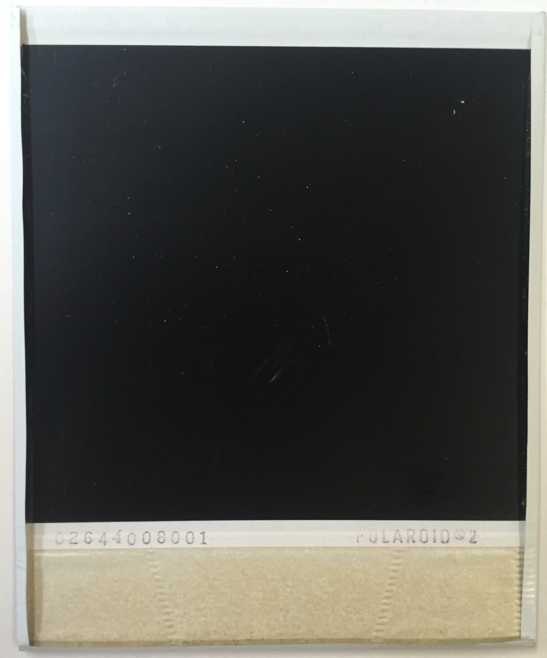 Andy Warhol, "Fame" The Pug, 1985