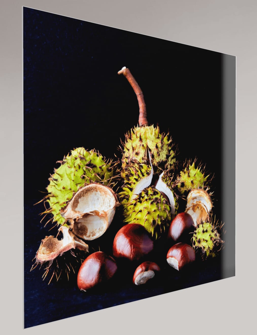 Murray Laidlaw, Conkers, 2010