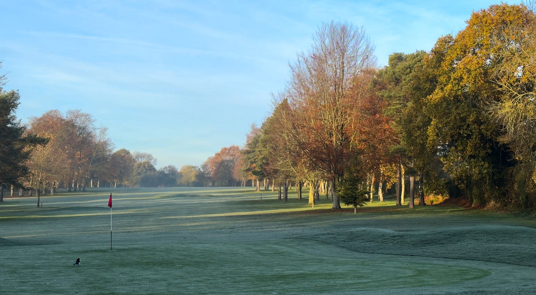 Looking up the fairway from the green on a frosty morning