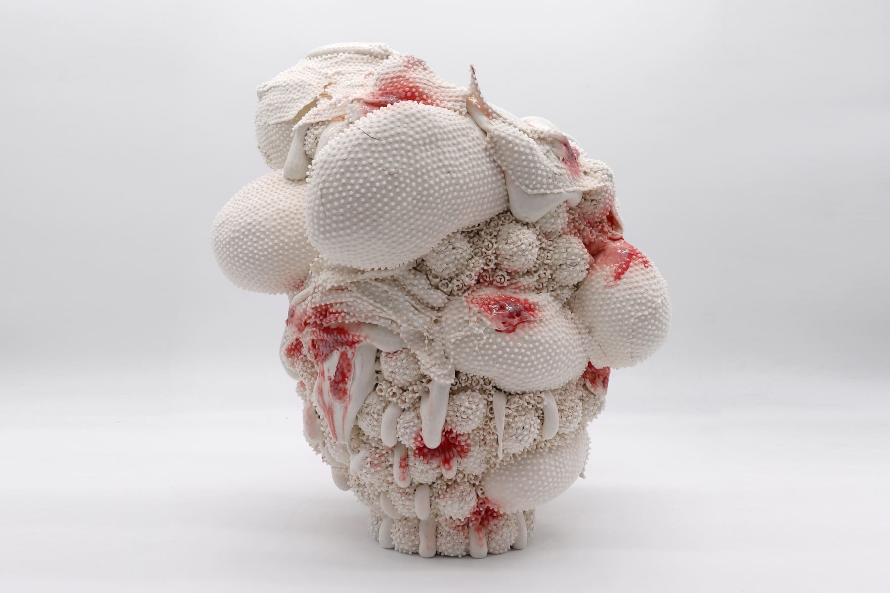 Kazuhito Kawai, Kamikaze, 2023