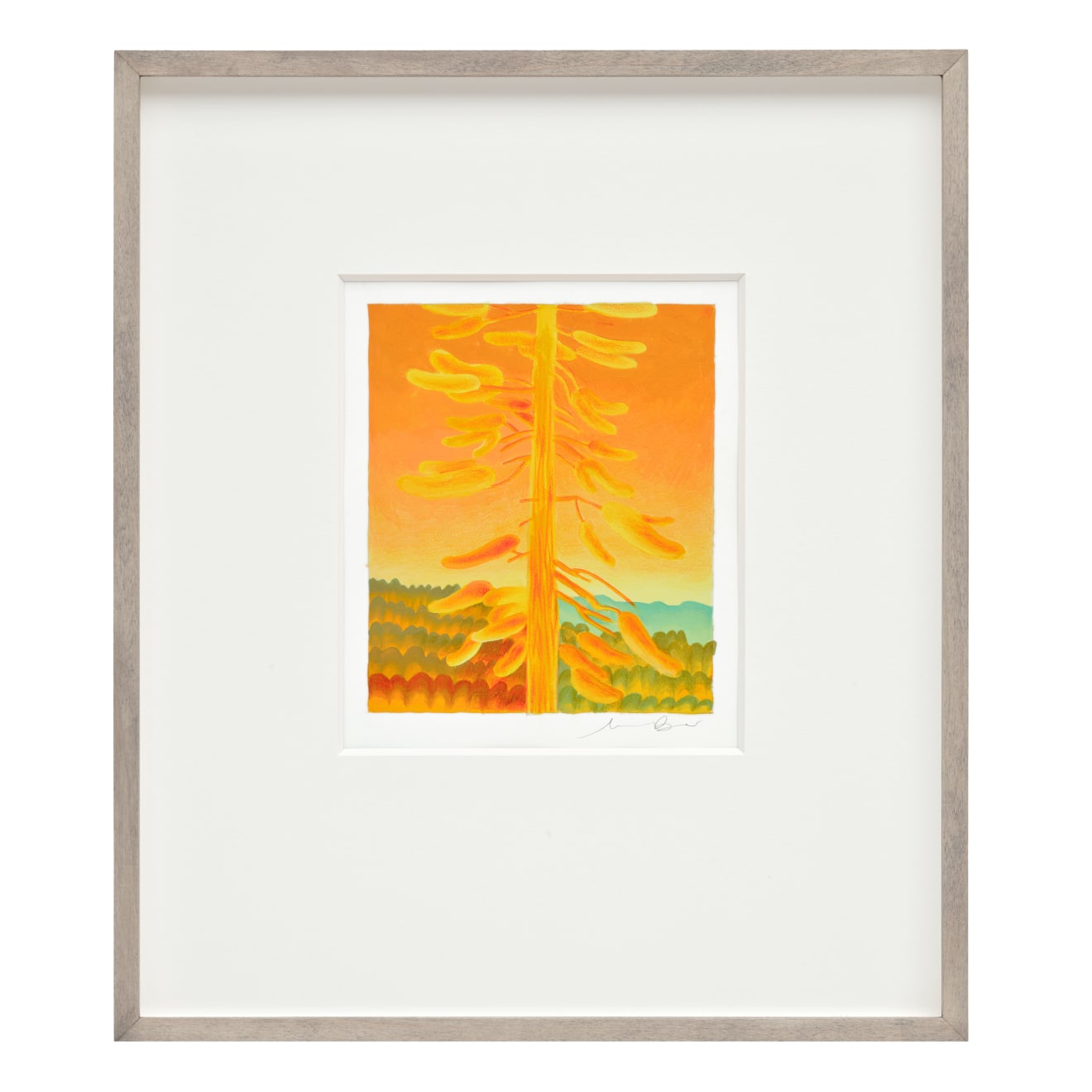 Madeleine Bialke, Eidolons: Red Fir, 2025