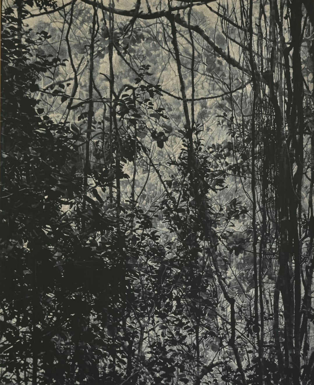 Peter Eastman, Bloukrans, 2025