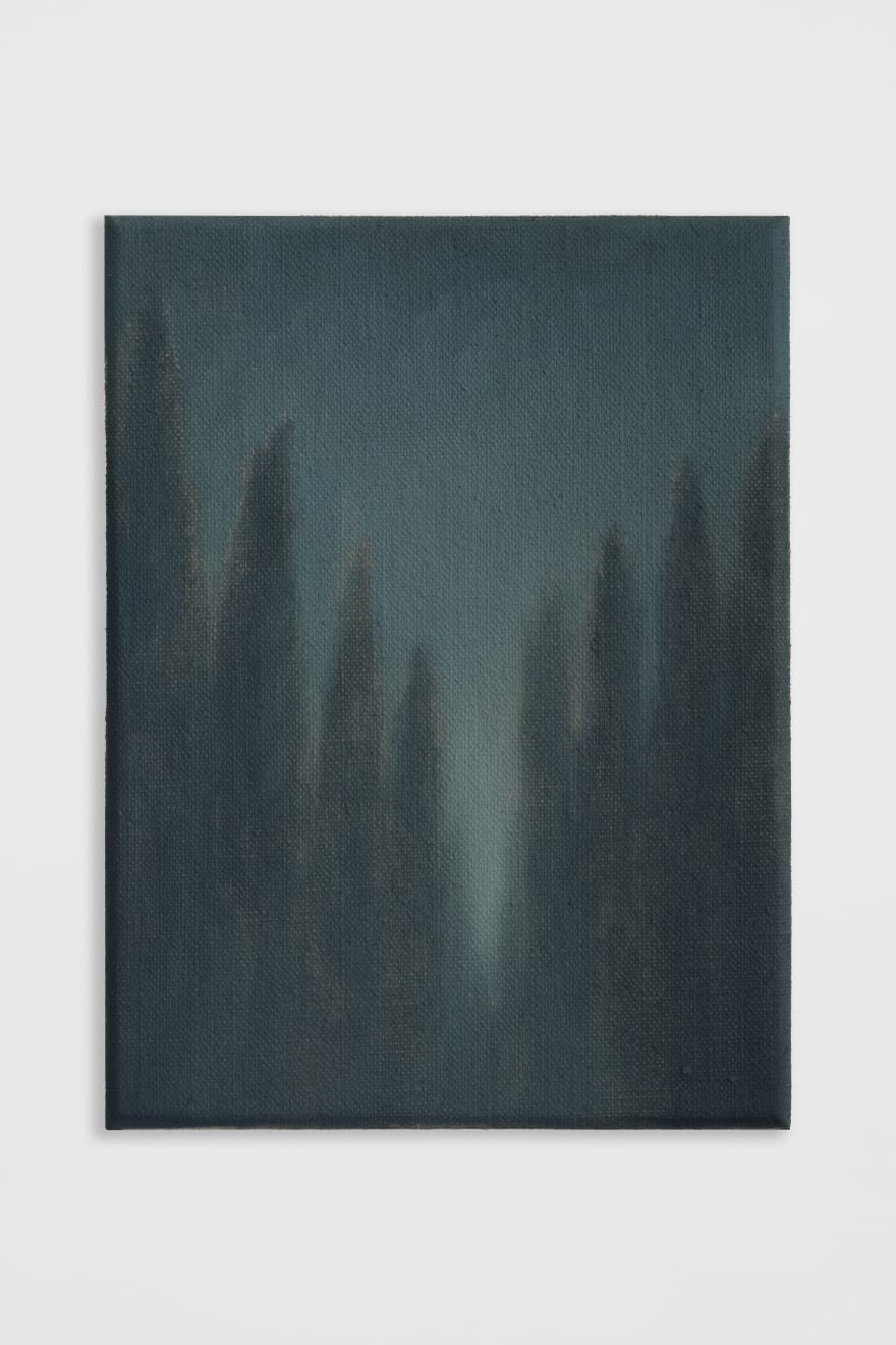 Jake Aikman, Cypresses sempervirens I, 2025