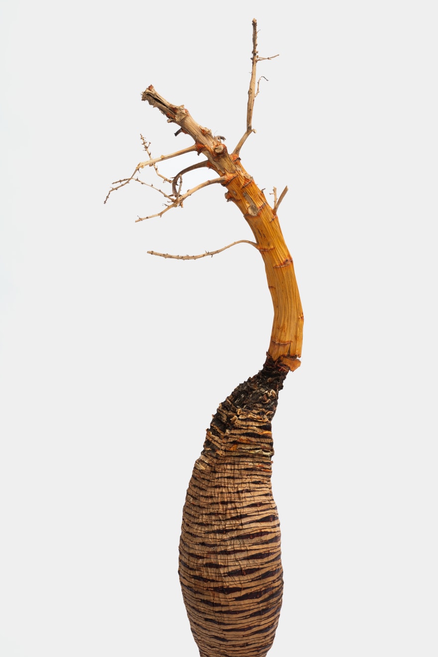 Kenzi Shiokava, Untitled, 2017