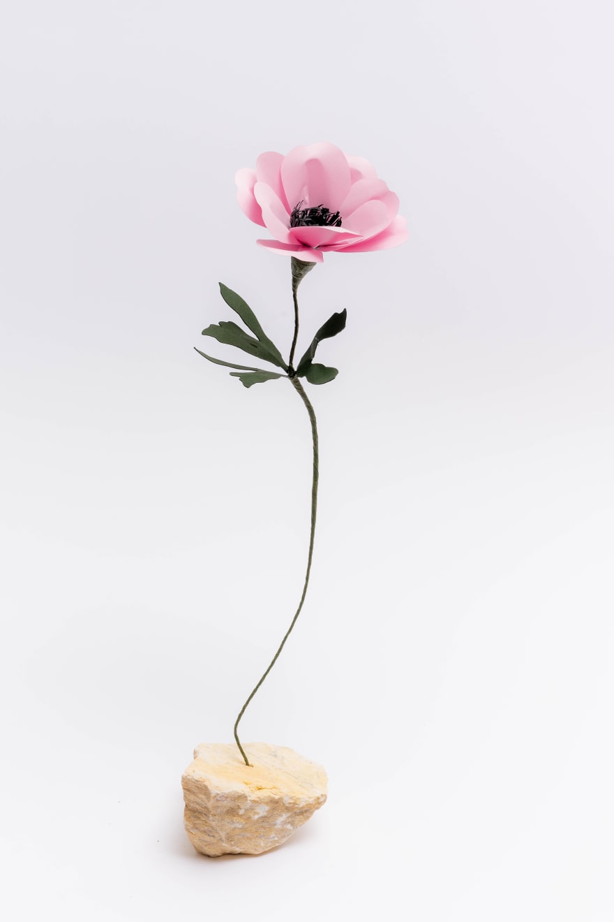 Megumi Shinozaki: edenworks, Anemone , 2022