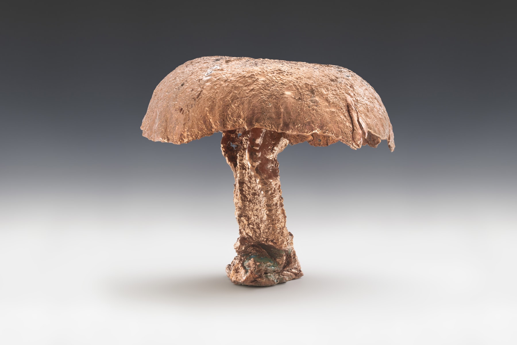 Sterling Ruby, AGARICUS (7484), 2020