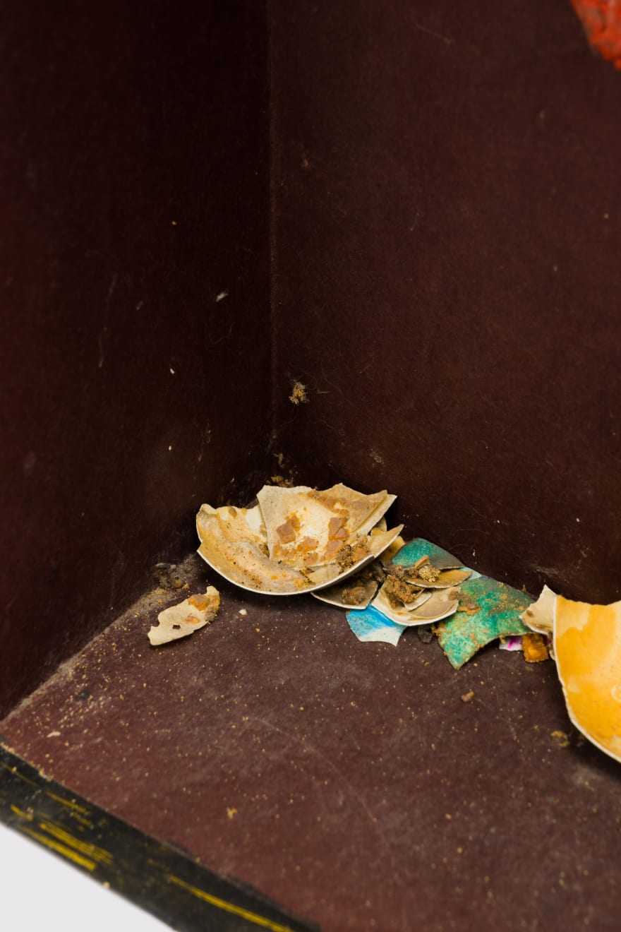 Kenzi Shiokava, Untitled, n.d.