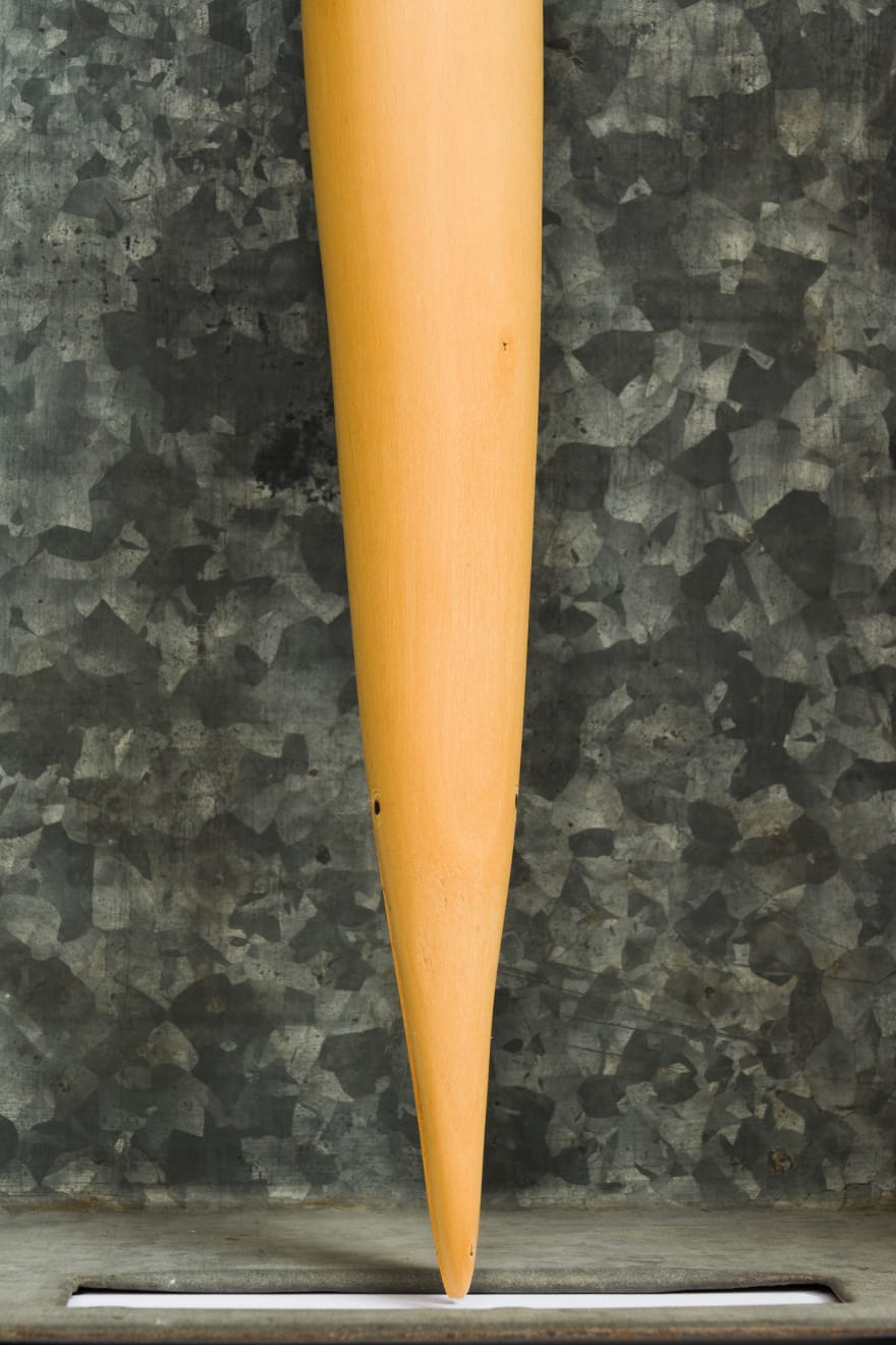 Kenzi Shiokava, Flight, 1998