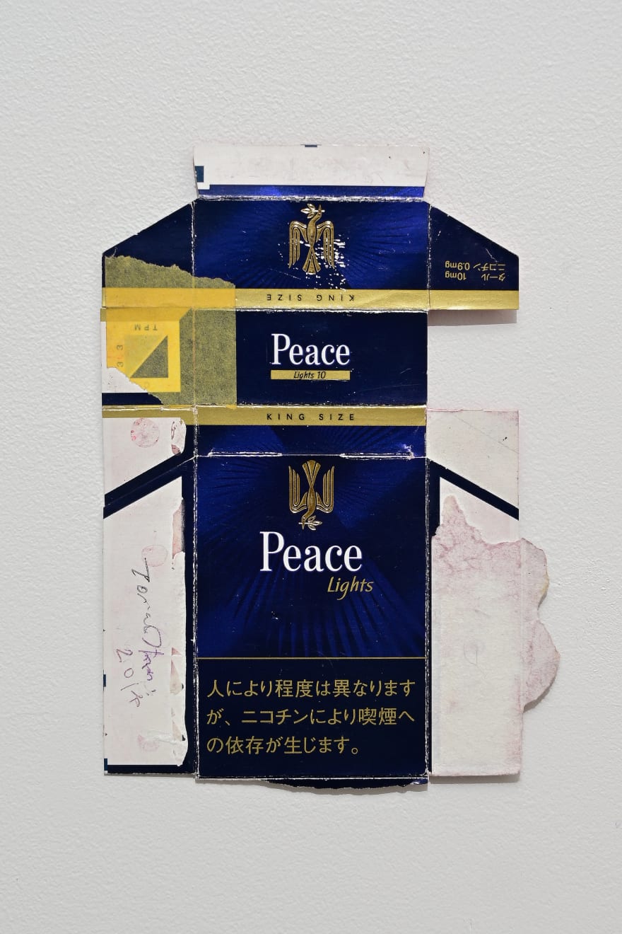Toru Otani, Amulet, 2015