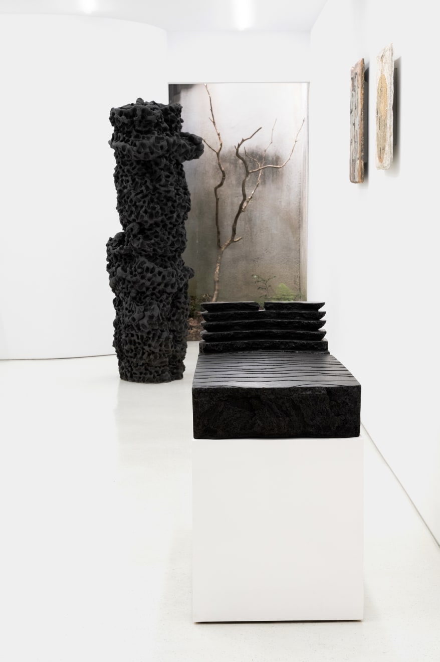 Satoru Hoshino, Frozen Cloud No. 2 / 凍雲 No.2, 2001