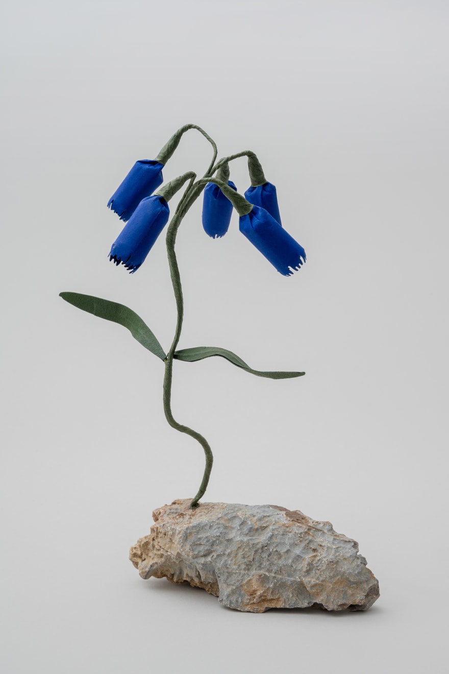 Megumi Shinozaki: edenworks, Muscari, 2020
