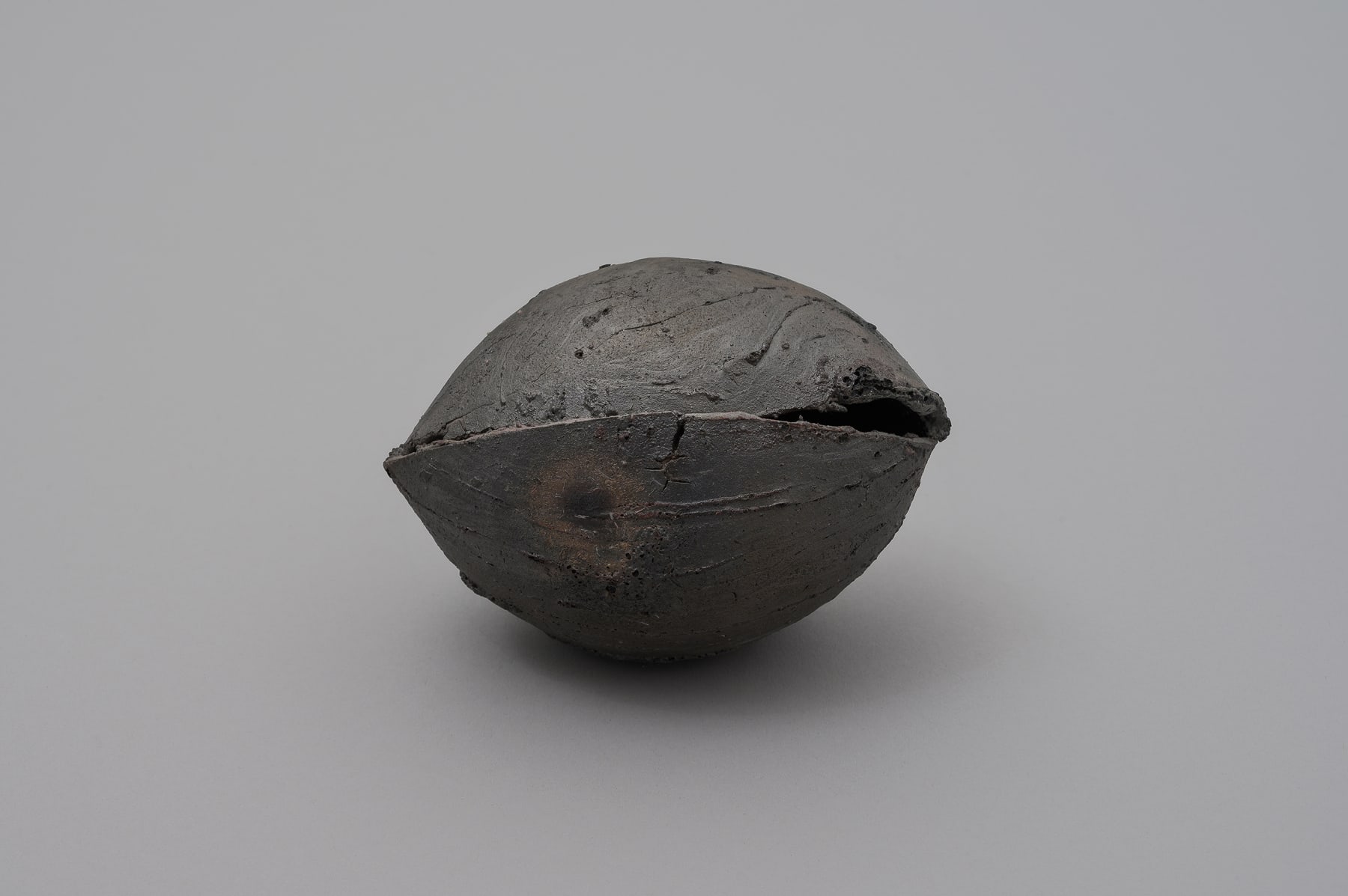 Keita Matsunaga, 蛻-Void-monuke, 2019