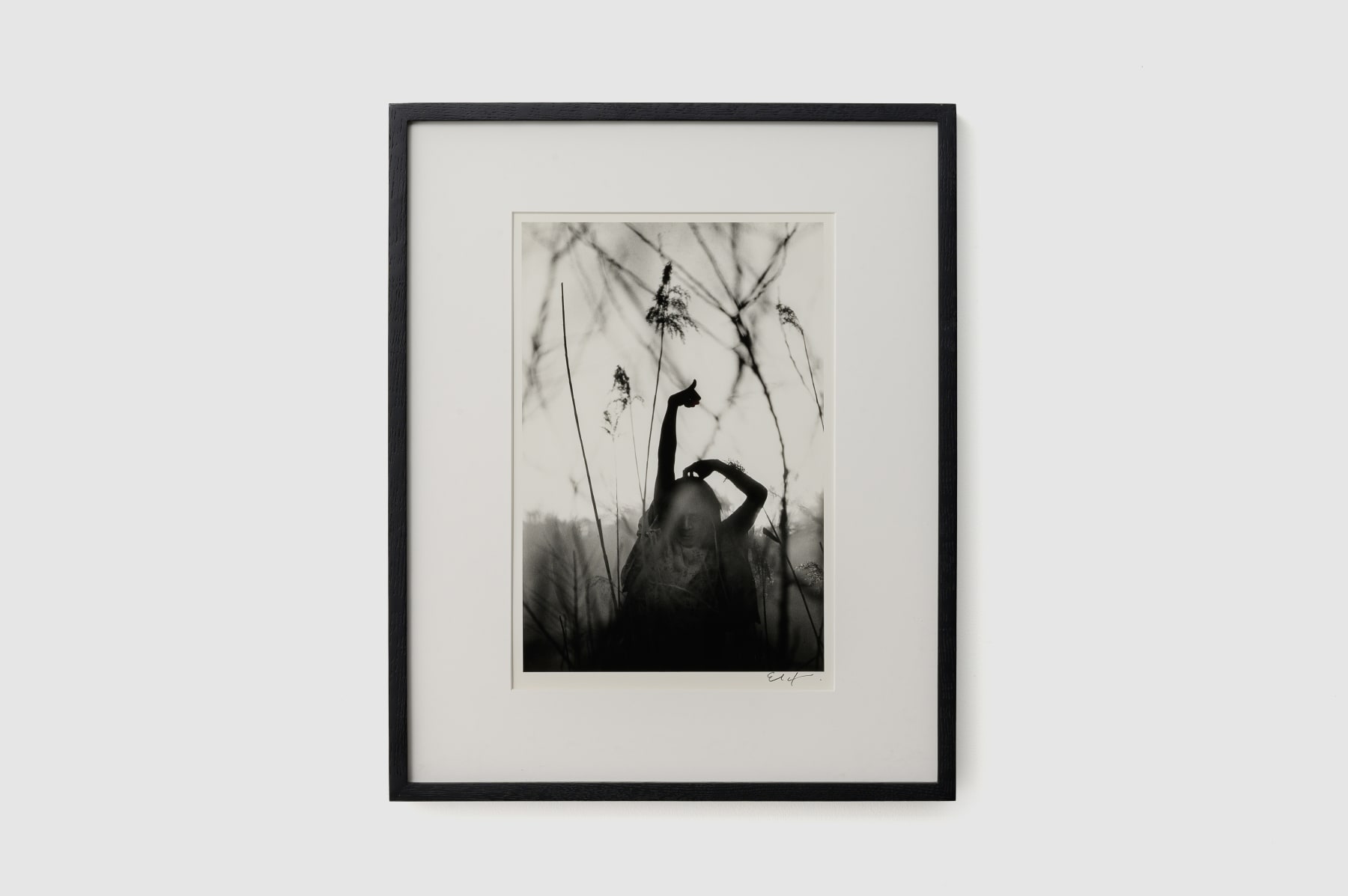 Eikoh Hosoe, Kamaitachi #34, 1965/1989