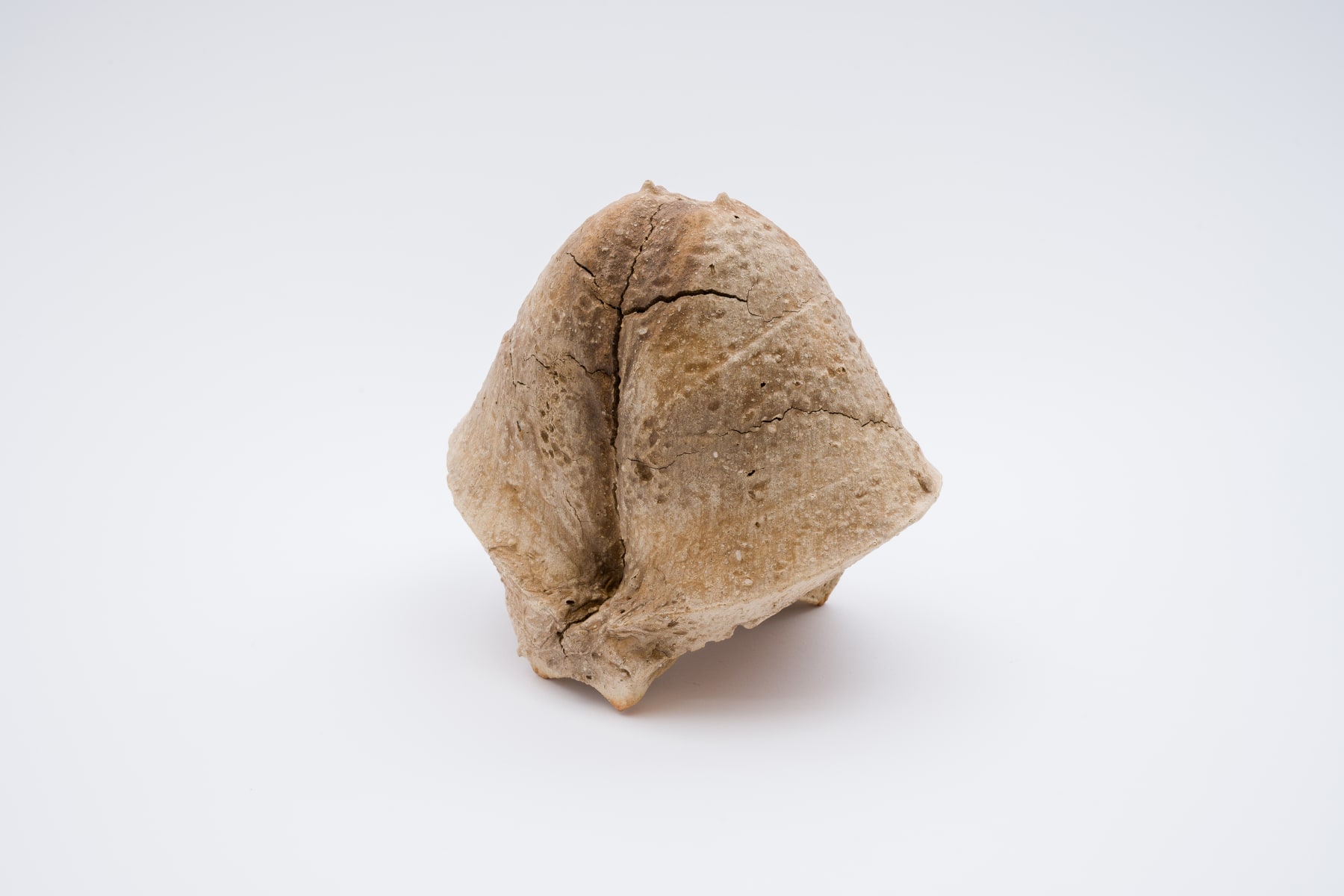 Keita Matsunaga, Cocoon, 2021
