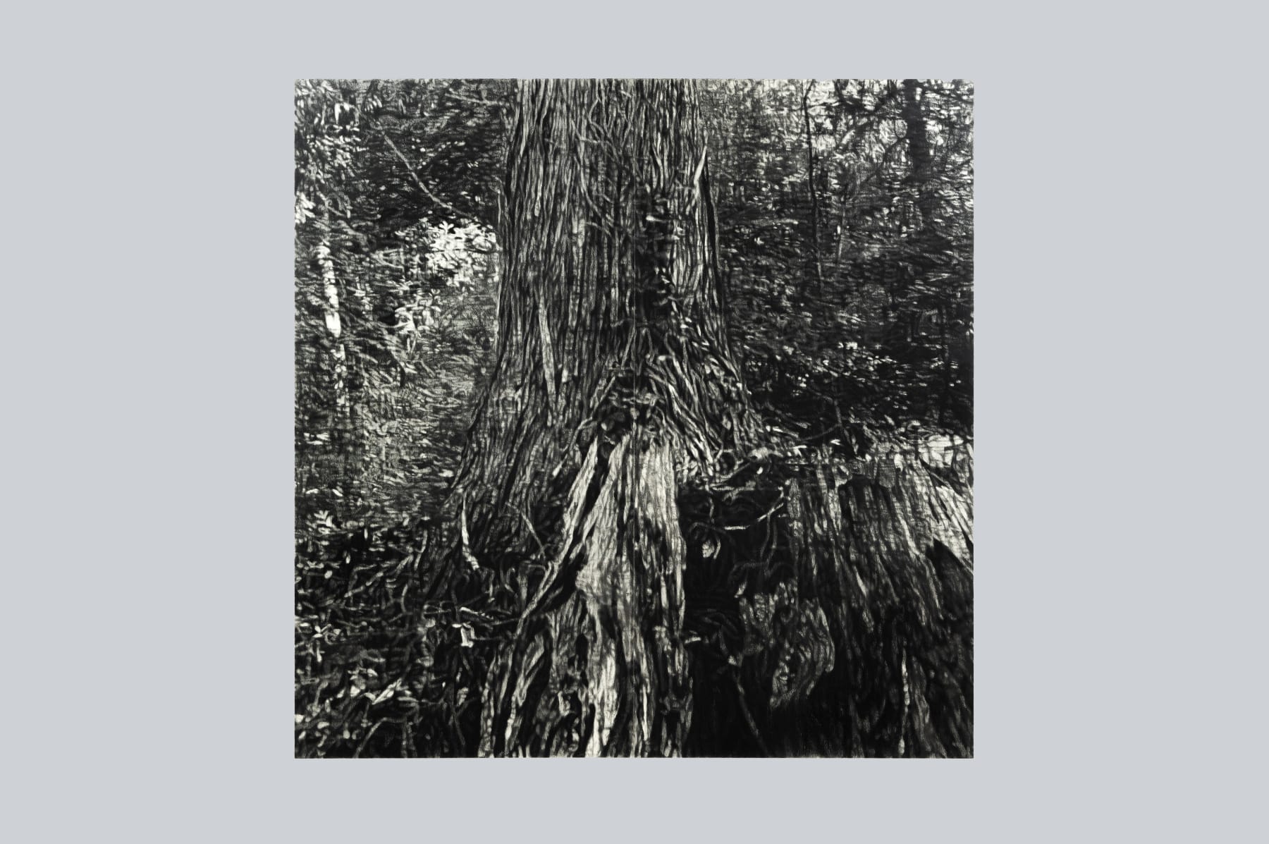 Takeshi Honda, Walking in the Mountains - August, 1992